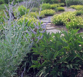 Sustainable landscapes are easy to maintain